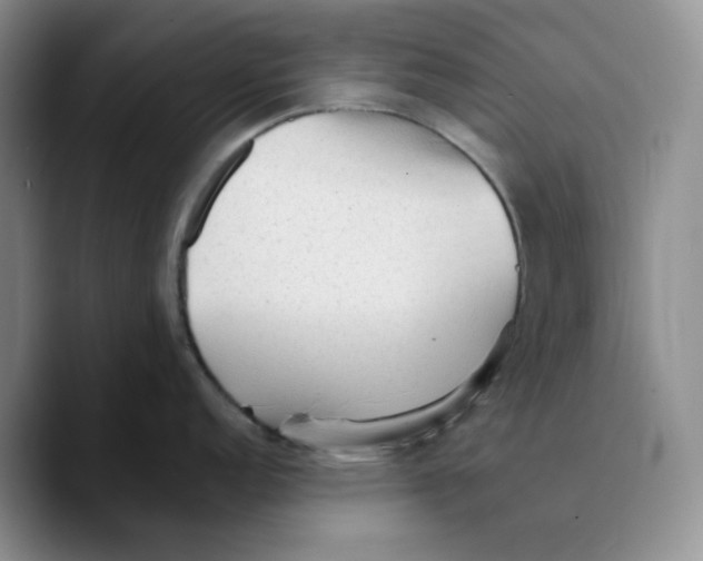 X0000089681152200707201655