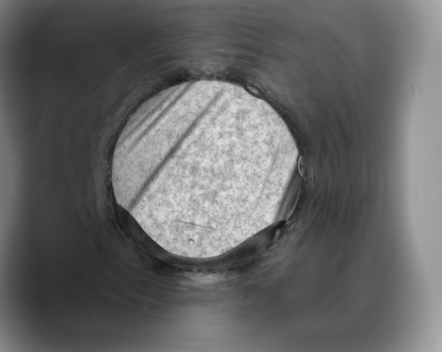 X0000089681153200707201654
