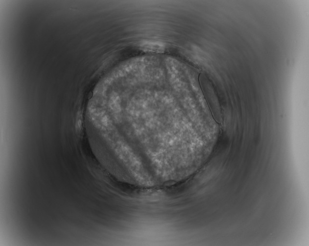 X0000089681154200707201654