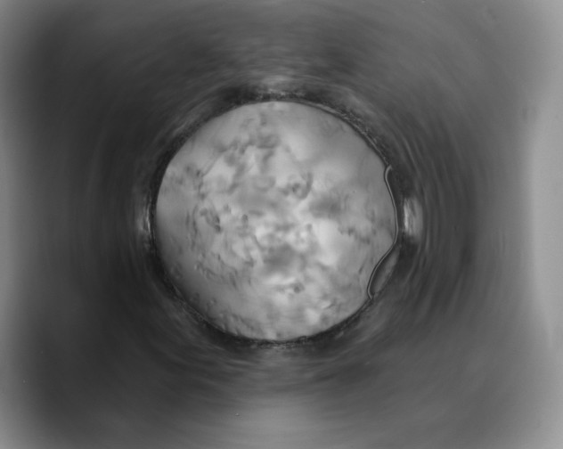X0000089681155200707201654