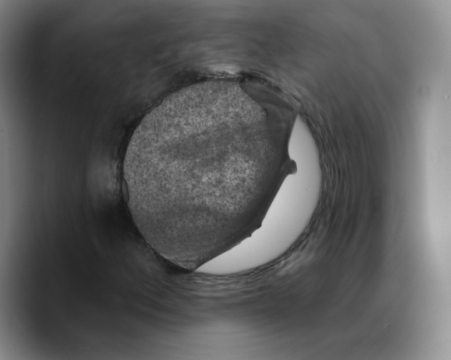 X0000089681156200707201654