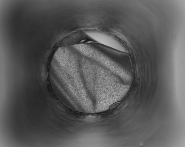 X0000089681160200707201654