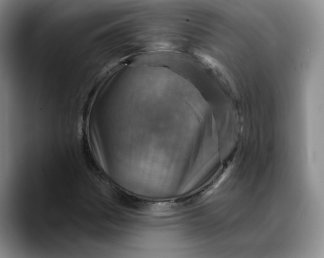 X0000089681161200707201654
