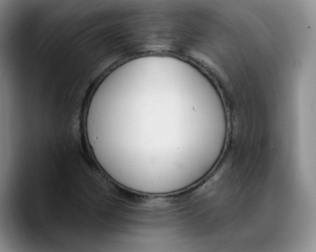 X0000089681162200707201654