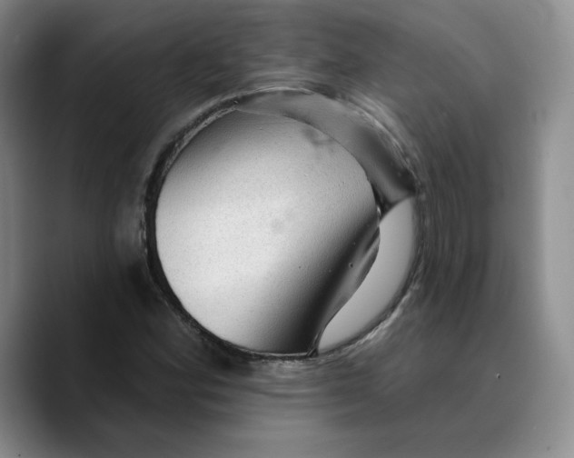 X0000089681164200707201654