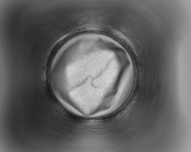 X0000089681166200707201654