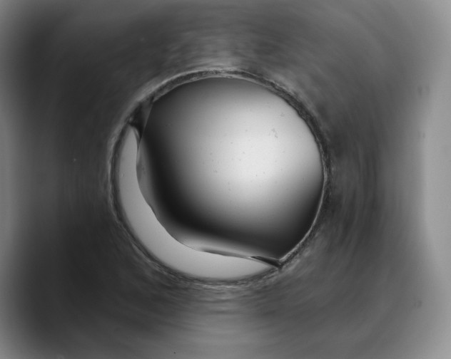 X0000089681168200707201654