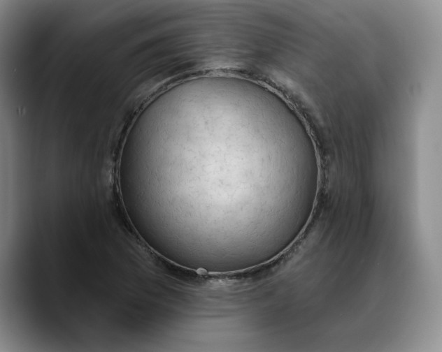 X0000089681169200707201654