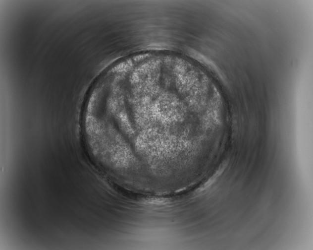 X0000089681170200707201654