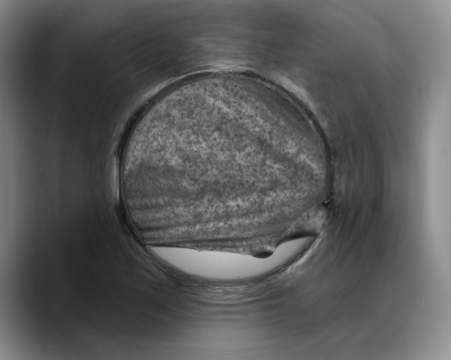 X0000089681171200707201654