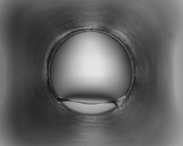 X0000089681172200707201654