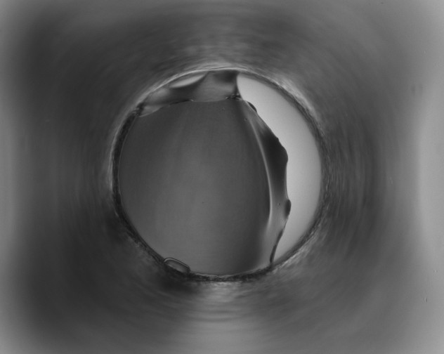 X0000089681173200707201654