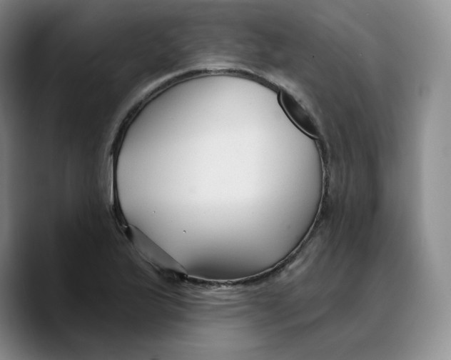 X0000089681175200707201654