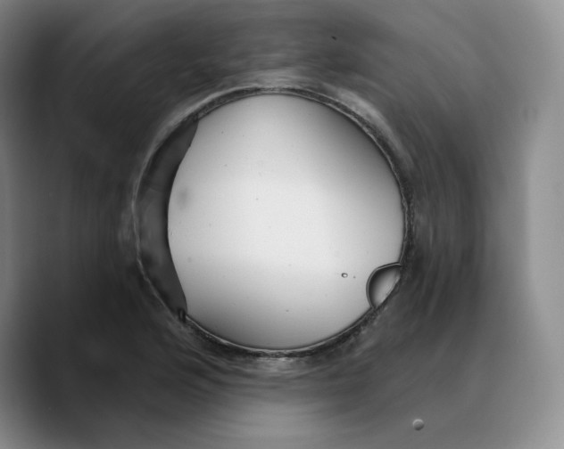 X0000089681176200707201654