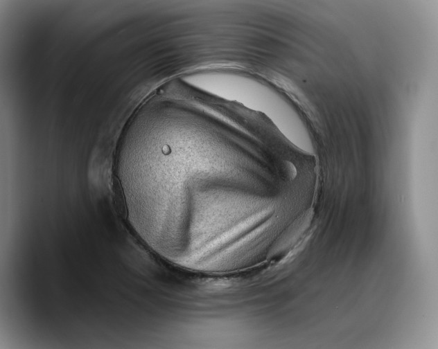 X0000089681177200707201654