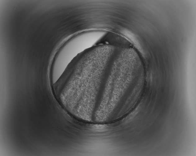 X0000089681180200707201654
