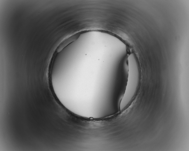 X0000089681181200707201654