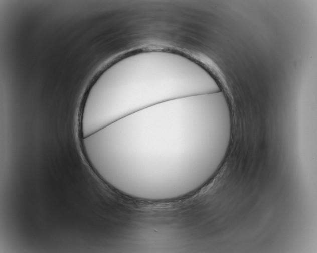 X0000089681183200707201654