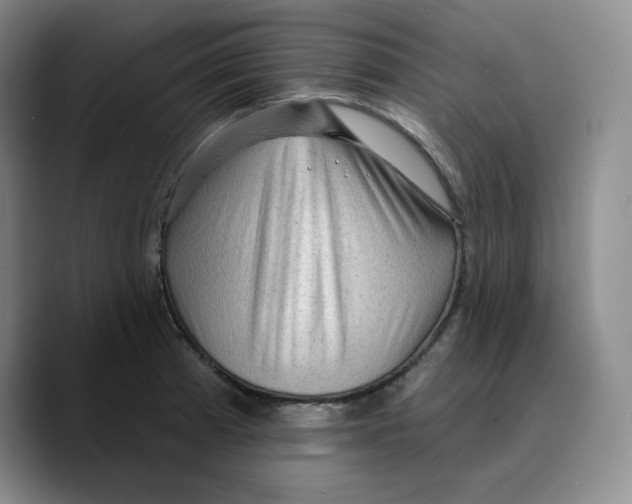 X0000089681185200707201654