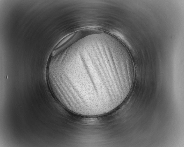 X0000089681186200707201654