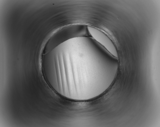 X0000089681188200707201654