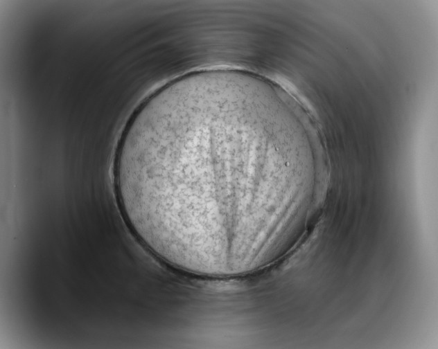 X0000089681189200707201653
