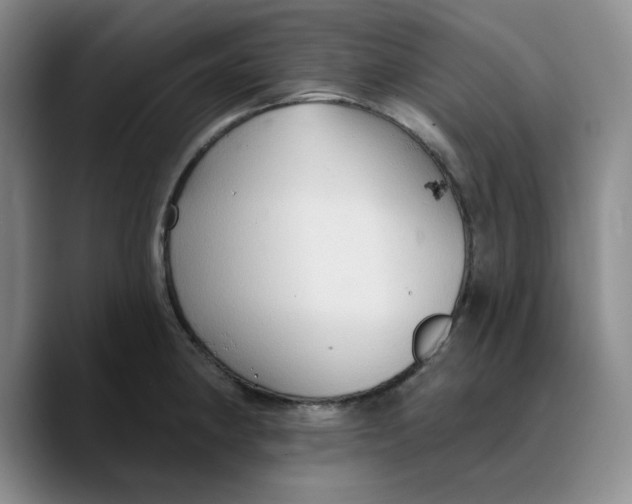 X0000089681190200707201653