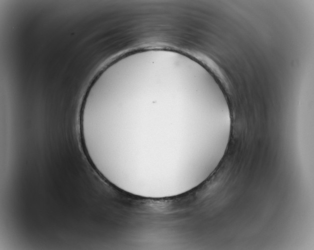 X0000089681191200707201653