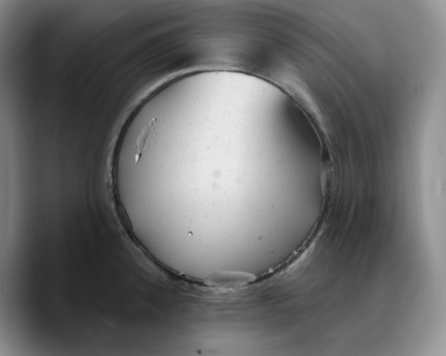 X0000089681192200707201653