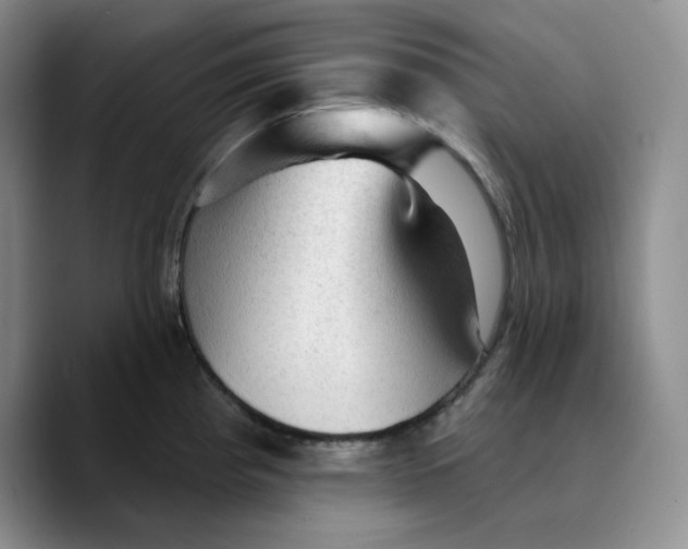 X0000089681193200707201653