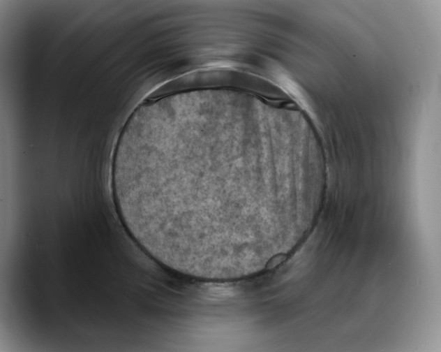 X0000089681194200707201653