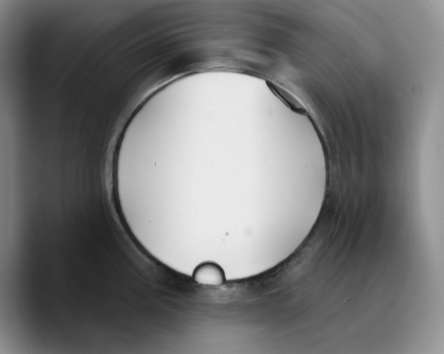 X0000089681195200707201653