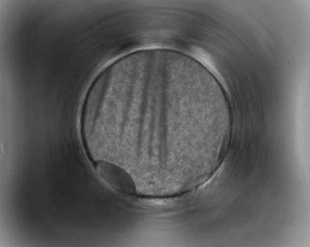 X0000089681197200707201653