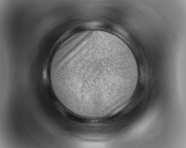 X0000089681198200707201653