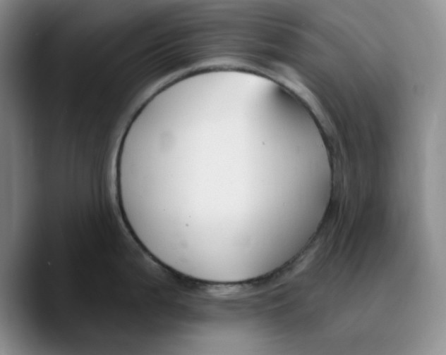 X0000089681199200707201653