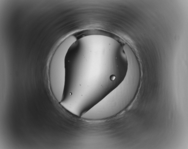 X0000089681200200707201653