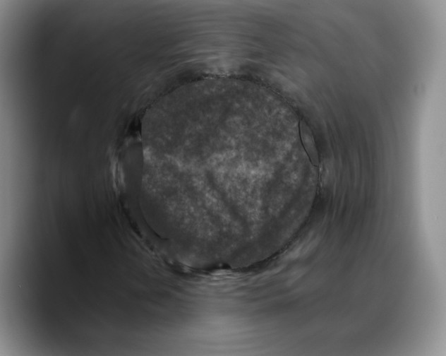 X0000089681202200707201653