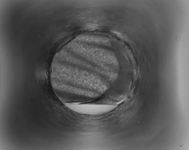 X0000089681206200707201653
