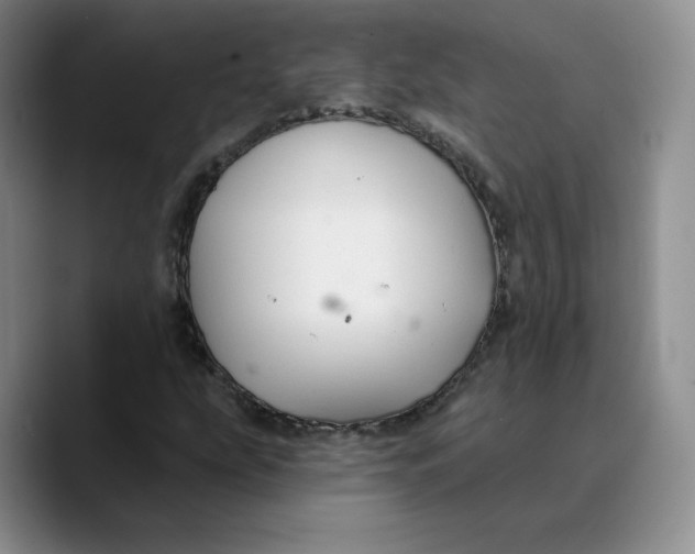 X0000089681207200707201653