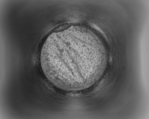 X0000089681208200707201653