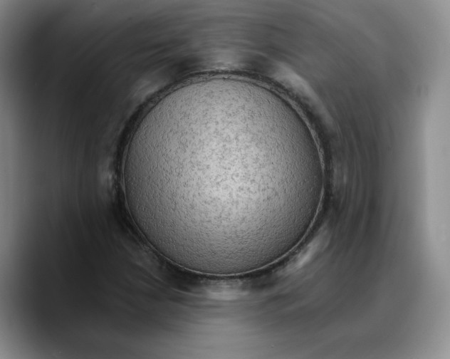 X0000089681210200707201653