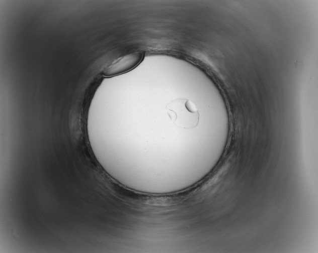 X0000089681211200707201653