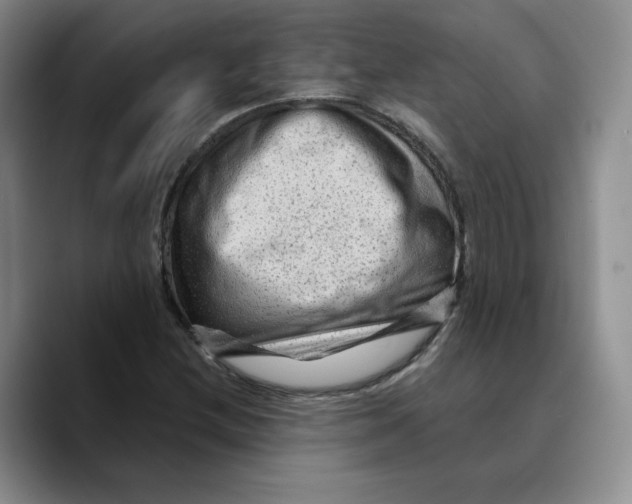 X0000089681212200707201653