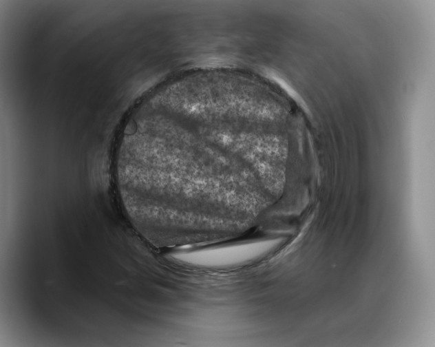 X0000089681213200707201653