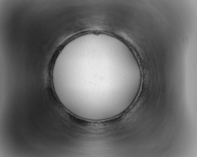 X0000089681215200707201653