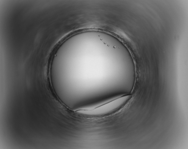 X0000089681216200707201653