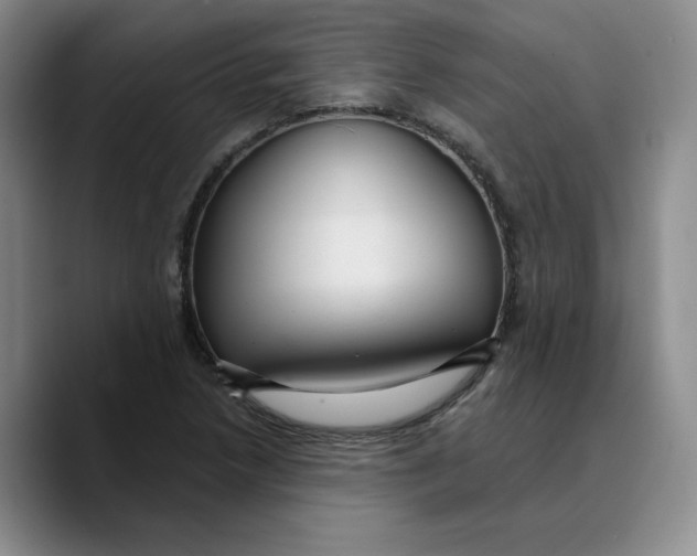 X0000089681218200707201653