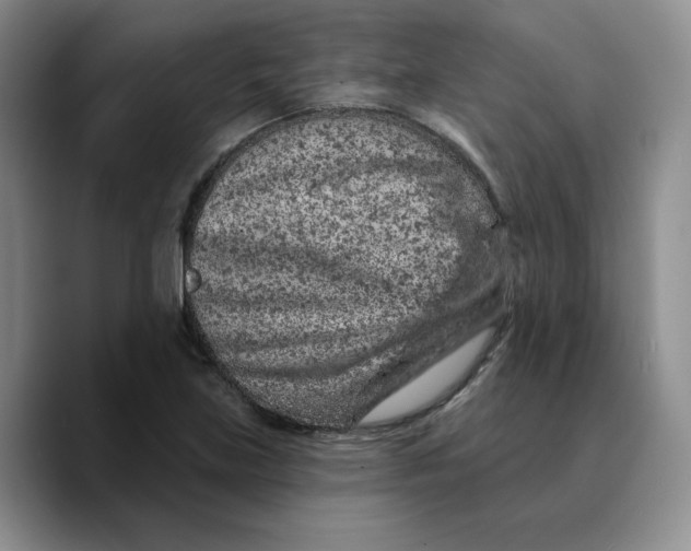 X0000089681219200707201653