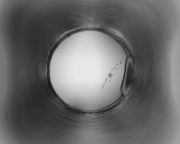 X0000089681220200707201653