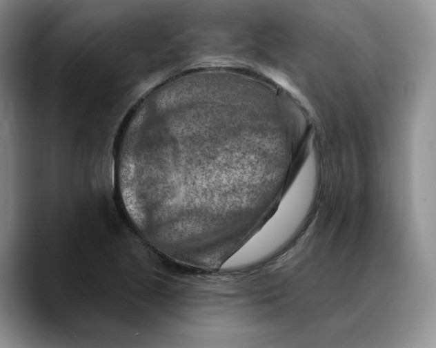 X0000089681221200707201653